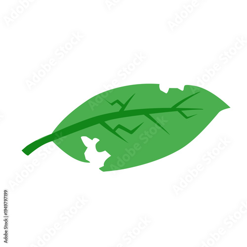 illustration of a leaf with holes eaten by insects