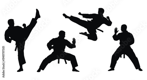 Three martial artists demonstrate dynamic kicks and defensive stances in a striking silhouette high quality professional