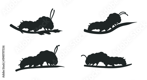 Four black silhouettes of caterpillars resting on leaves showcasing unique poses and forms silhouette high quality