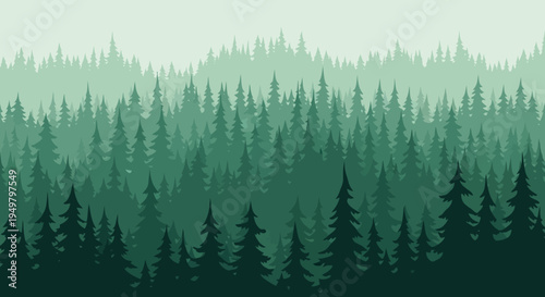 Misty Evergreen Forest Landscape, Layered Pine Trees, Serene Nature Background