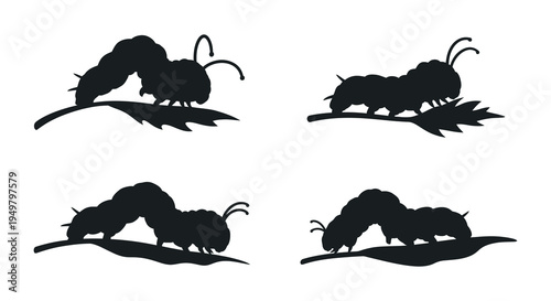 Several caterpillars crawl along leaves in a striking black graphic presenting a bold silhouette high quality