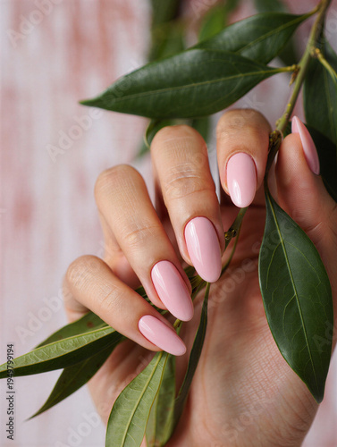 Womans hand with pink manicured nails holding green leaves  beauty and nature transparent background