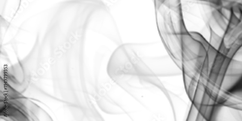  Abstract black smoke on white background,  lines pattern black smoke creating abstract shapes on a   White background,  abstract wavy pattern on a white backdrop for design and print templates.