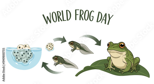 Illustration of a green frog's life cycle on World Frog Day, showing stages from eggs to tadpoles and adult frog in a natural habitat with a white background.