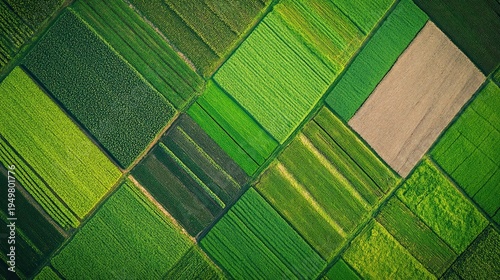 Aerial View of Vibrant Green Patchwork Farmland & Fields, Geometric Pattern Rural Agriculture Landscape with Nature Textures, Countryside Ecology