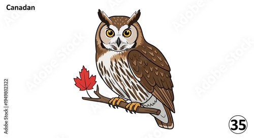Canadian Owl Perched on Branch with Maple Leaf Illustration