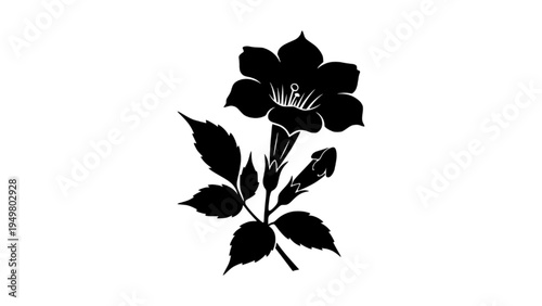 Trumpet flower silhouette with leaves and buds vector