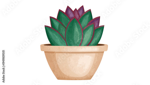 Flat vector illustration of a stylized purple and green succulent plant in a clay terracotta pot isolated on white background for interior home decor design