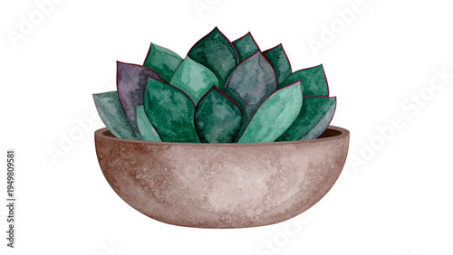 Flat vector illustration of a stylized purple and green succulent plant in a clay terracotta pot isolated on white background for interior home decor design