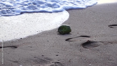 Silhouette of children leg run pass camera with coconut fruit on beach background