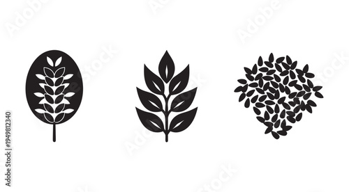 Black leaf silhouettes on white background  various shapes and sizes  leaves with different numbers of leaflets
