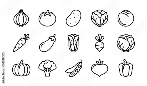 Outline vegetables icon set onion tomato carrot broccoli thin line food vector collection