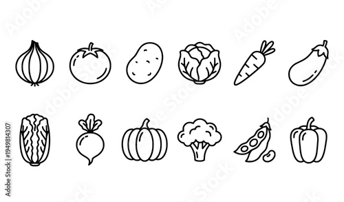 Thin line vegetables icons set onion tomato pumpkin broccoli outline vector illustration