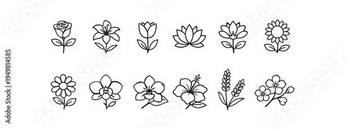 Flower Outline Icons Set, Floral Line Art, Botanical Flower Minimal Vector Icon Collection