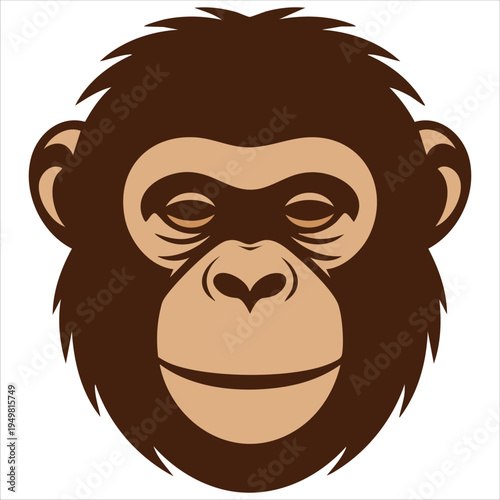 Realistic illustration showing detailed features of ape face
