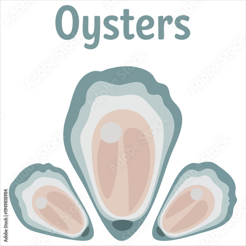 Hand drawn vintage sketches with oysters and rosemary seafood vector for restaurant and cafe menu isolated