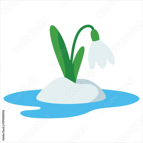 Spring meltwater flow with first flowers sprouting through snow white snowdrops in flat style for nature awakening vector illustration