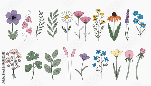 Gemini said

Pink tulip blossoms and a set of spring flowers vector illustration featuring a floral nature design with garden leaves and heart patterns for a cartoon art card decoration