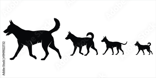Black Silhouette Progression Of Dog Breeds From Large To Small size