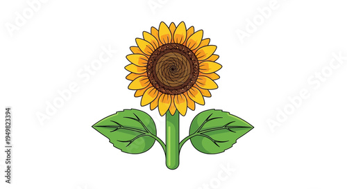 Vector sunflower icon, illustration