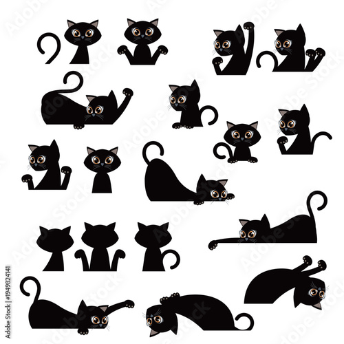 A collection of unique and interesting cat images,