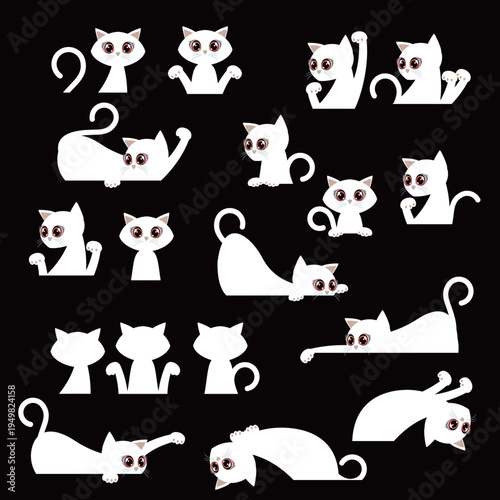 A collection of unique and interesting cat images,