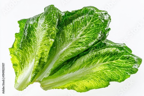 Fresh Green Lettuce Leaves on White 1.