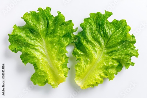 Fresh green lettuce leaves on white.
