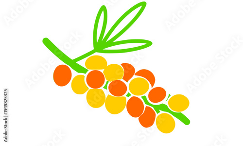 Colorful cartoon sea buckthorn branch with orange and yellow berries and green leaves, perfect for natural remedy, superfood, herbal medicine, and healthy food themed designs