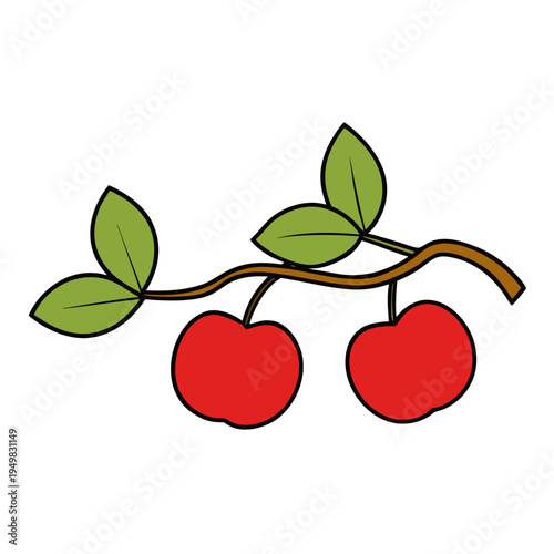 Vector illustration of 2 red cherries on a branch