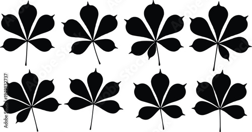 Set of black chestnut leaf silhouettes and horse chestnut foliage icons, autumn nature tree leaves collection, botanical forest vector illustration isolated on white,