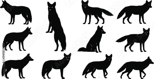 Black Fox Silhouette Collection Set with Various Poses Standing Sitting and Walking Isolated on White Background for Wildlife Nature and Vector Graphic Design