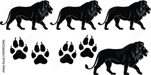 Black Lion Silhouette Collection Set with Walking Poses and Paw Prints Isolated on White Background for Wildlife Nature African Safari and Vector Graphic Design