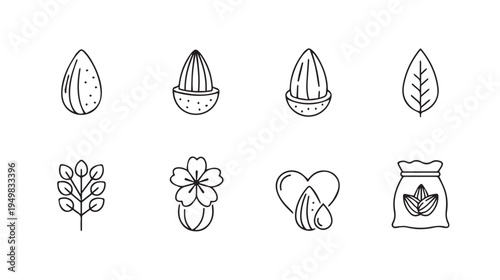 Almond Icons Set: Whole Halved Leaf Branch Flower Heart & SackLine Art