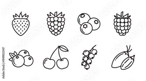 Assorted Berry Icons Simple Line Art Isolated on White Healthy Food Graphics