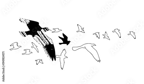 Minimal ink and brush flying birds vector illustration set for design and editorial