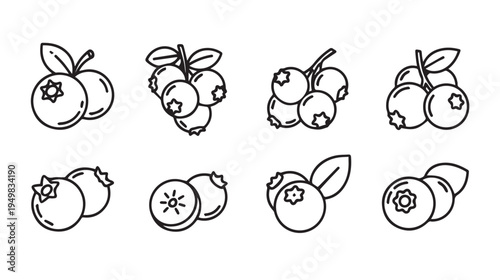 Blueberry Icons Set Line Art Fruit Vector Graphics Healthy Food Simple Design
