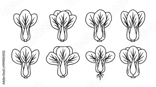 Bok Choy Vegetable Outline Icons Set Fresh Leafy Greens Collection