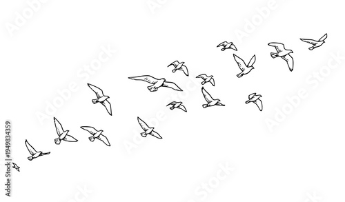 Hand-drawn flying birds vector set with ink and brush line style