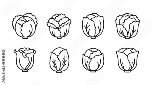 Cabbage Icons Set Collection Diverse Varieties Simple Outline Style