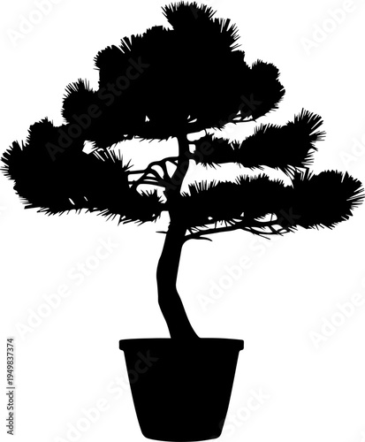Black Silhouette of a Japanese Bonsai Pine Tree in a Pot Isolated on White Background Vector Illustration