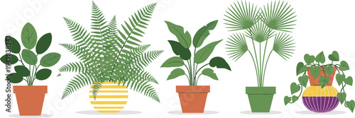 Collection of various green potted houseplants including fern palm and rubber plant for indoor home gardening decoration and biophilic interior design.