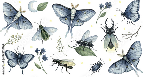 Blue toned moths butterflies and nocturnal insects collection with firefly beetle and botanical flowers detailed nature vector illustration set
