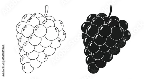 A black and white illustration depicts two bunches of grapes one light and one dark showcasing a contrast in shading