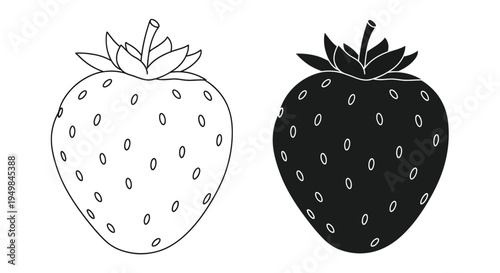 A contrasting depiction of two strawberries one light and one dark showcases their rounded shapes and seed patterns