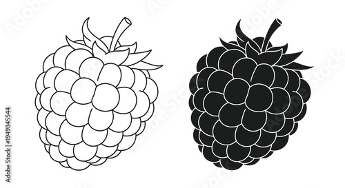 A minimalist black and white illustration depicts two ripe raspberries one light and one dark showcasing their textured surfaces high quality