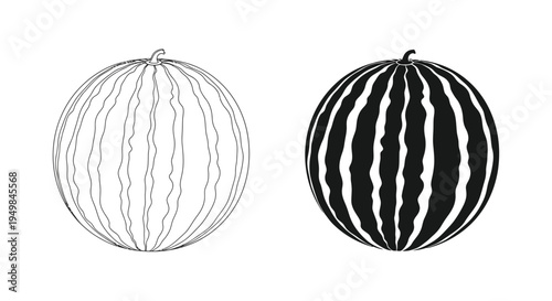 A detailed illustration showcases two watermelons one with light stripes and the other darkly shaded both presented in a simplistic style