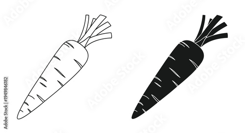 A simple black and white illustration depicts two carrots one light and one dark contrasting their forms high quality professional detailed
