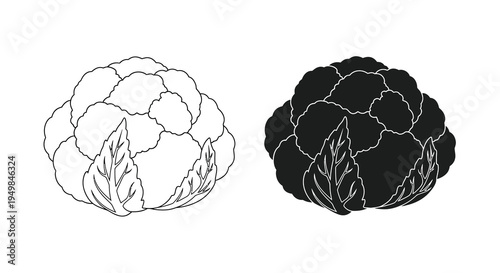 A minimalist black and white illustration depicts two cauliflower heads one light and one dark showcasing contrasting forms high quality professional