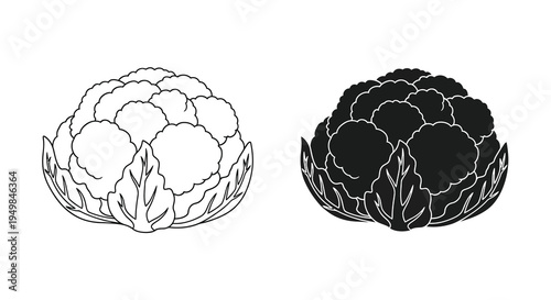A minimalist black and white illustration showcases two artichoke heads one light and one dark with detailed leaf patterns high quality